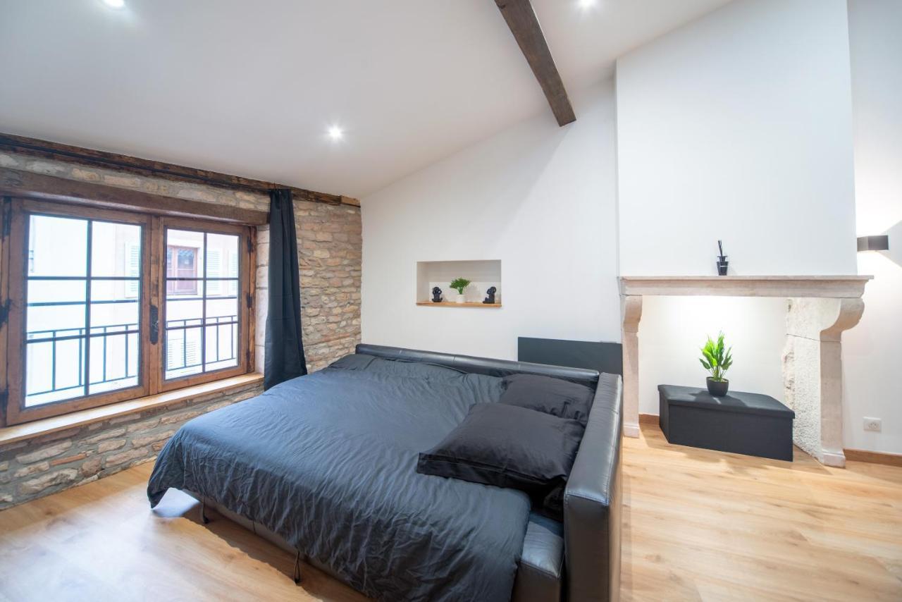 Loft Au Coeur Du Centre Ville Mâcon エクステリア 写真